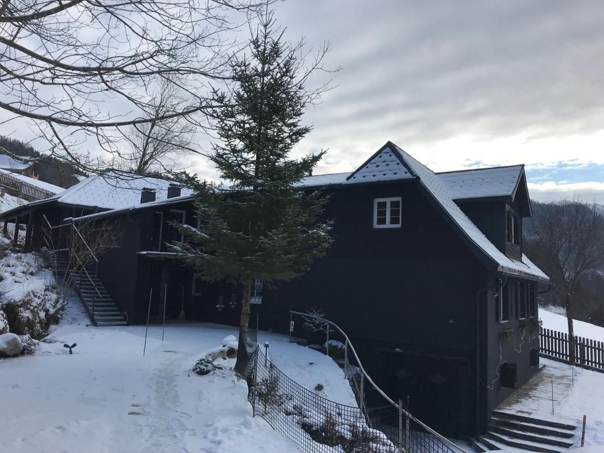 Bergchalet ヒンターシュトダー エクステリア 写真